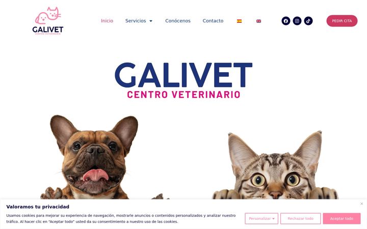 Screenshot of galivet.es