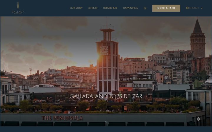 Screenshot of galladaistanbul.com