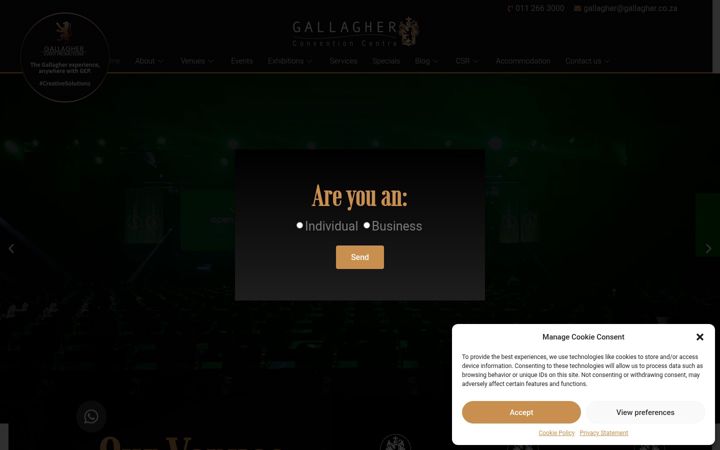 Screenshot of gallagher.co.za