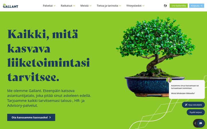 Snimka zaslona za gallant.fi