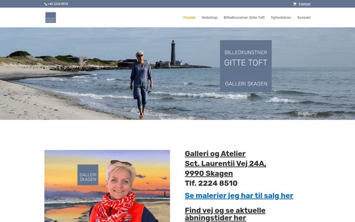 Posnetek zaslona galleri-skagen.dk
