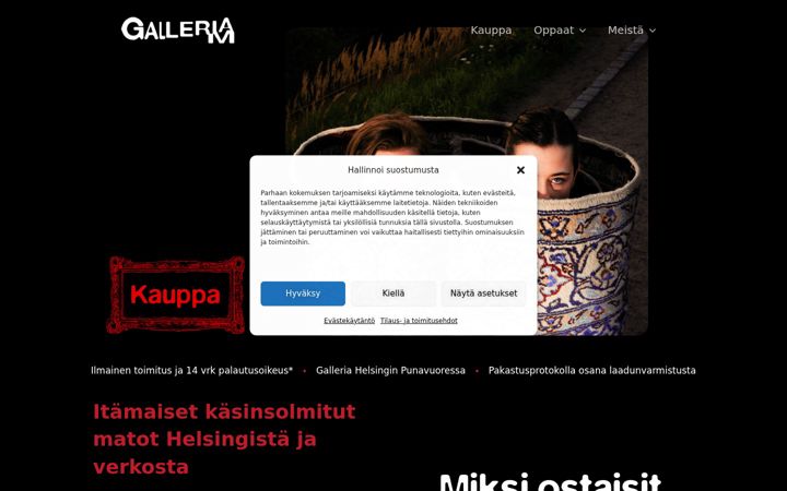 Screenshot of galleriam.fi