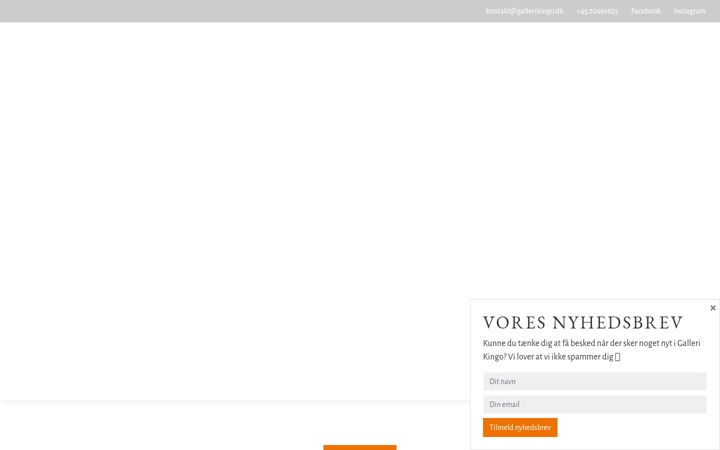 Screenshot of gallerikingo.dk