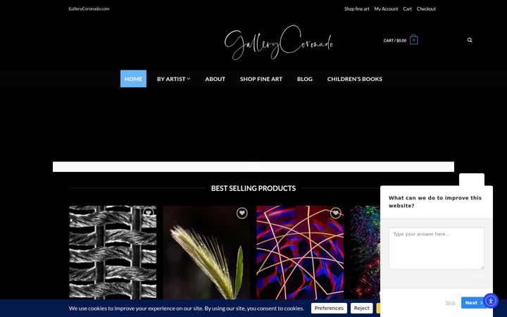 Screenshot of gallerycoronado.com