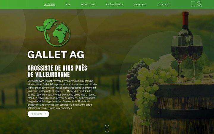 Snimka zaslona za gallet-france-afrique.com