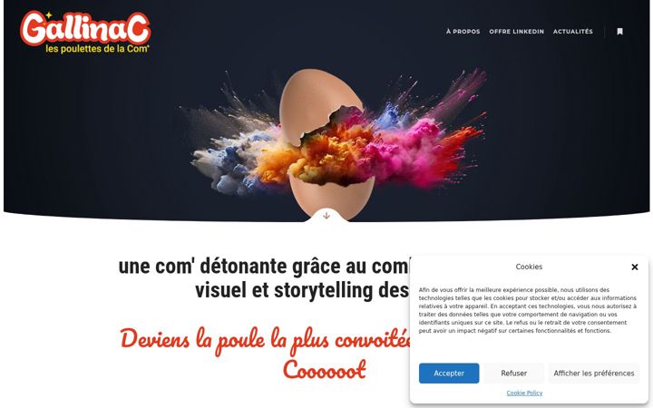 Screenshot of gallinac.com