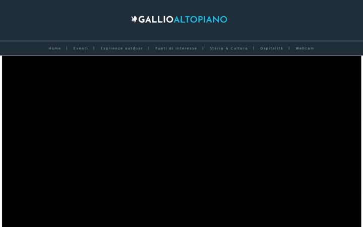 Screenshot of gallio.it
