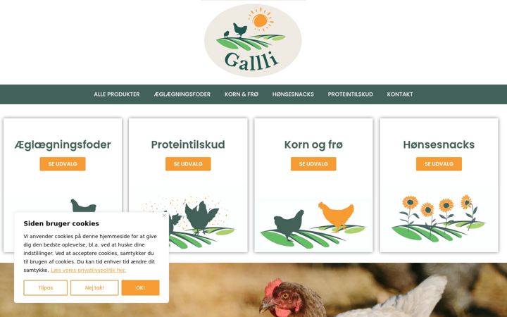 Screenshot of gallli.com