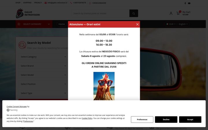 Screenshot of gallo-retrovisori.it