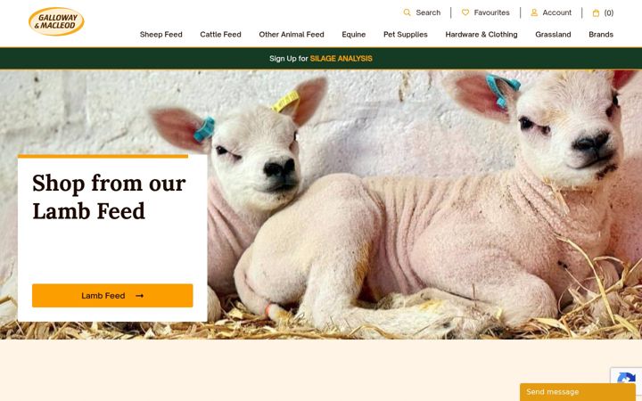 Screenshot of galloway-macleod.co.uk