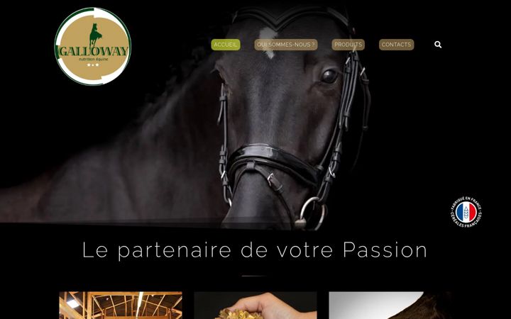 Screenshot of galloway-nutrition.com