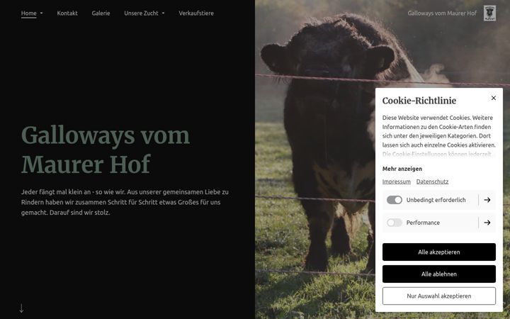 Screenshot of galloways-vom-maurer-hof.de