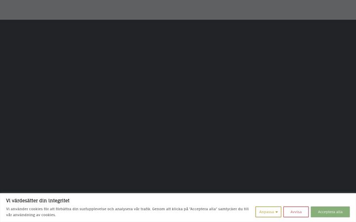 Screenshot of galtaback.se