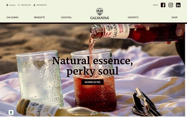 Screenshot of galvanina.com
