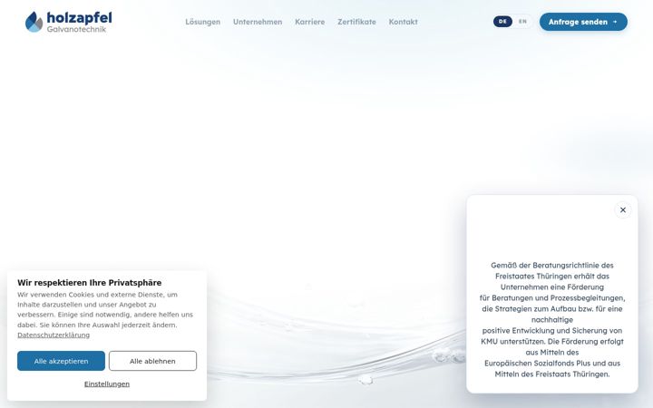Screenshot of galvanotechnik-holzapfel.de