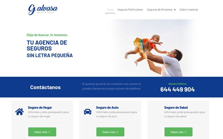 Screenshot of galvasaconsultores.es