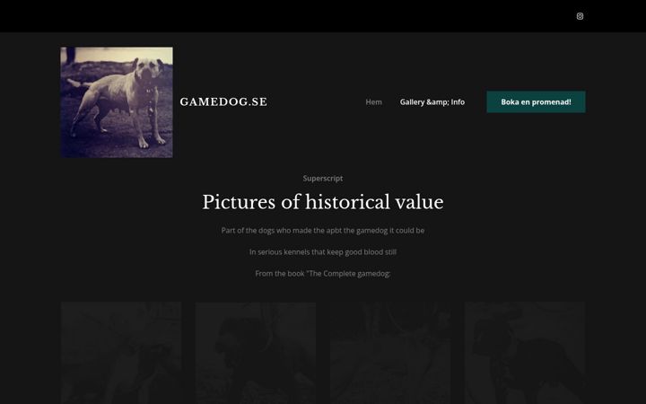 Screenshot of gamedog.nu