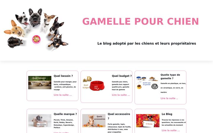 Screenshot of gamellepourchien.com