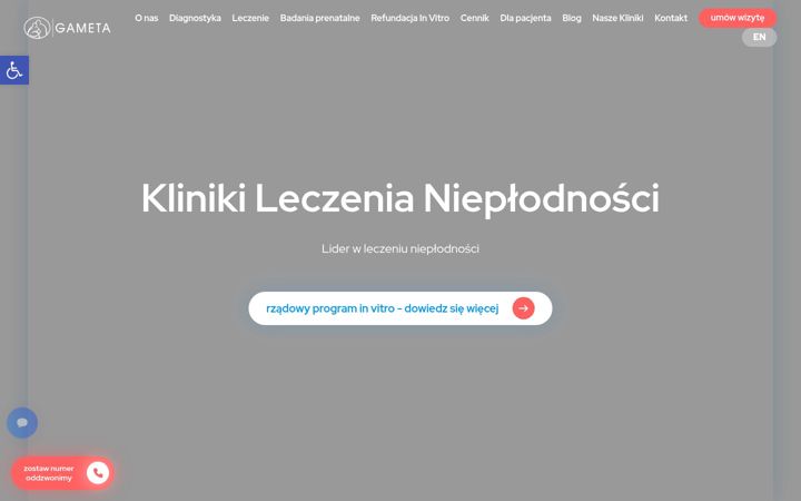 Screenshot of gameta.pl