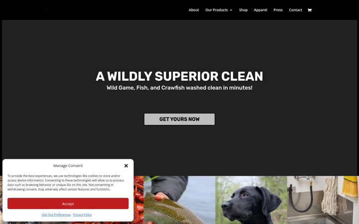 Screenshot of gamewasher.com