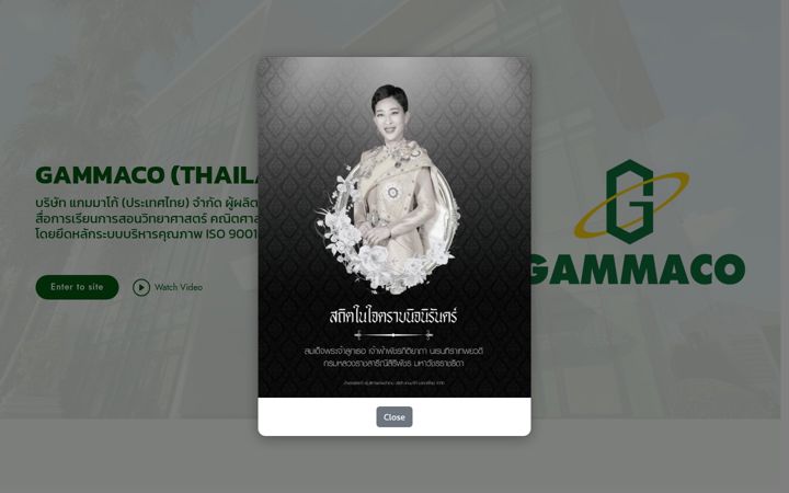 Screenshot of gammaco.com