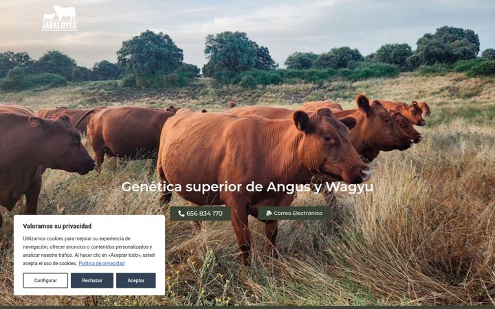 Screenshot of ganaderiajavaloyes.com