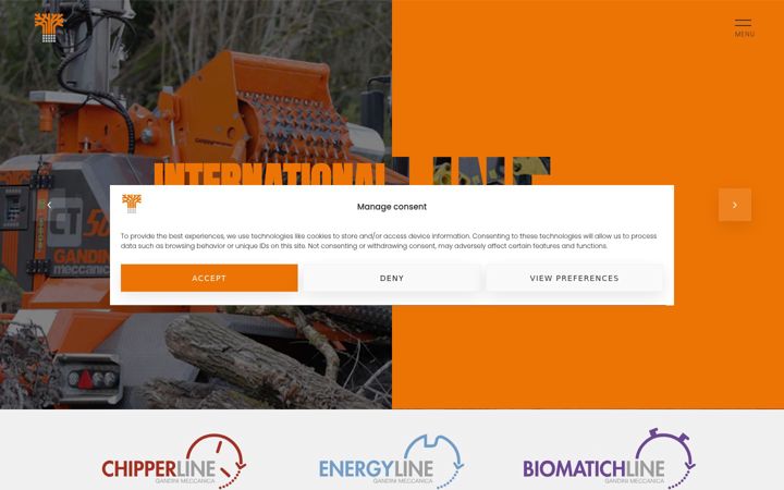 Screenshot of gandinimeccanica.com