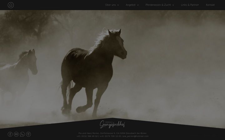 Screenshot of gangpferdehof.ch