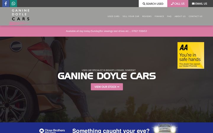 Screenshot of ganinedoyle.com