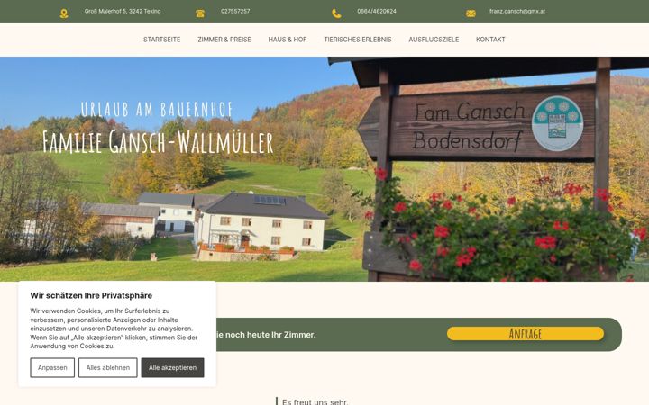 Screenshot of gansch-wallmueller.at