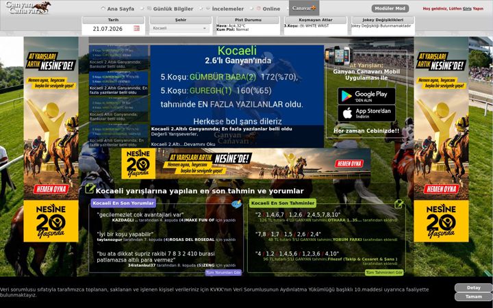 Screenshot of ganyancanavari.com.tr