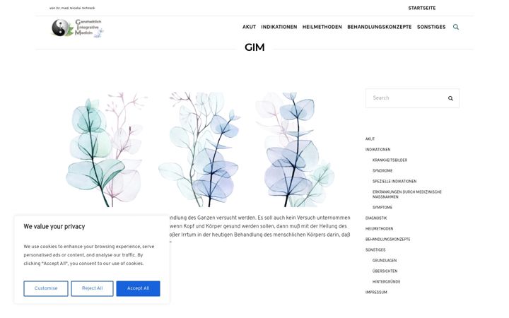 Screenshot of ganzheitlich-integrative-medizin.de