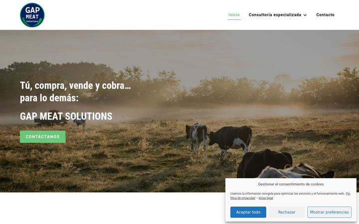 Screenshot of gapms.es