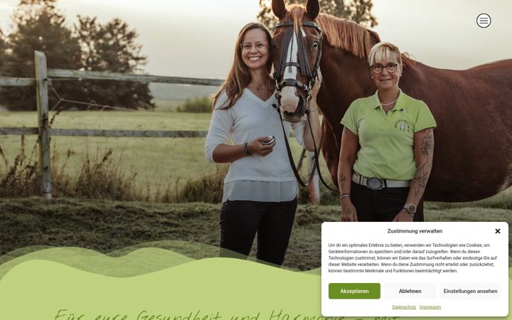 Screenshot of gapreu.com