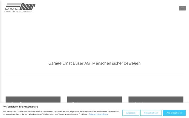 Screenshot of garagebuser.ch