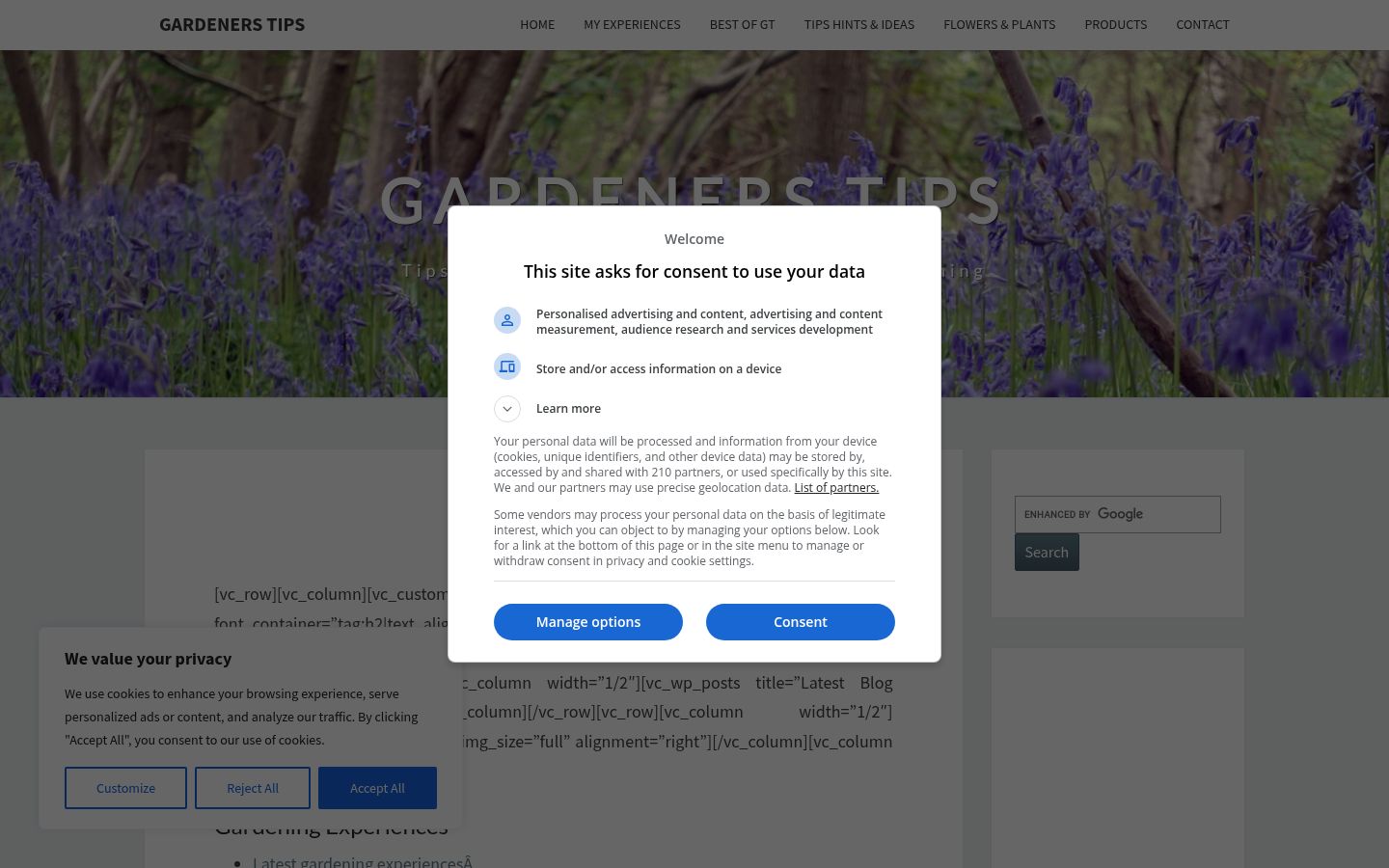 Screenshot del banner di consenso mostrato prima di qualsiasi interazione