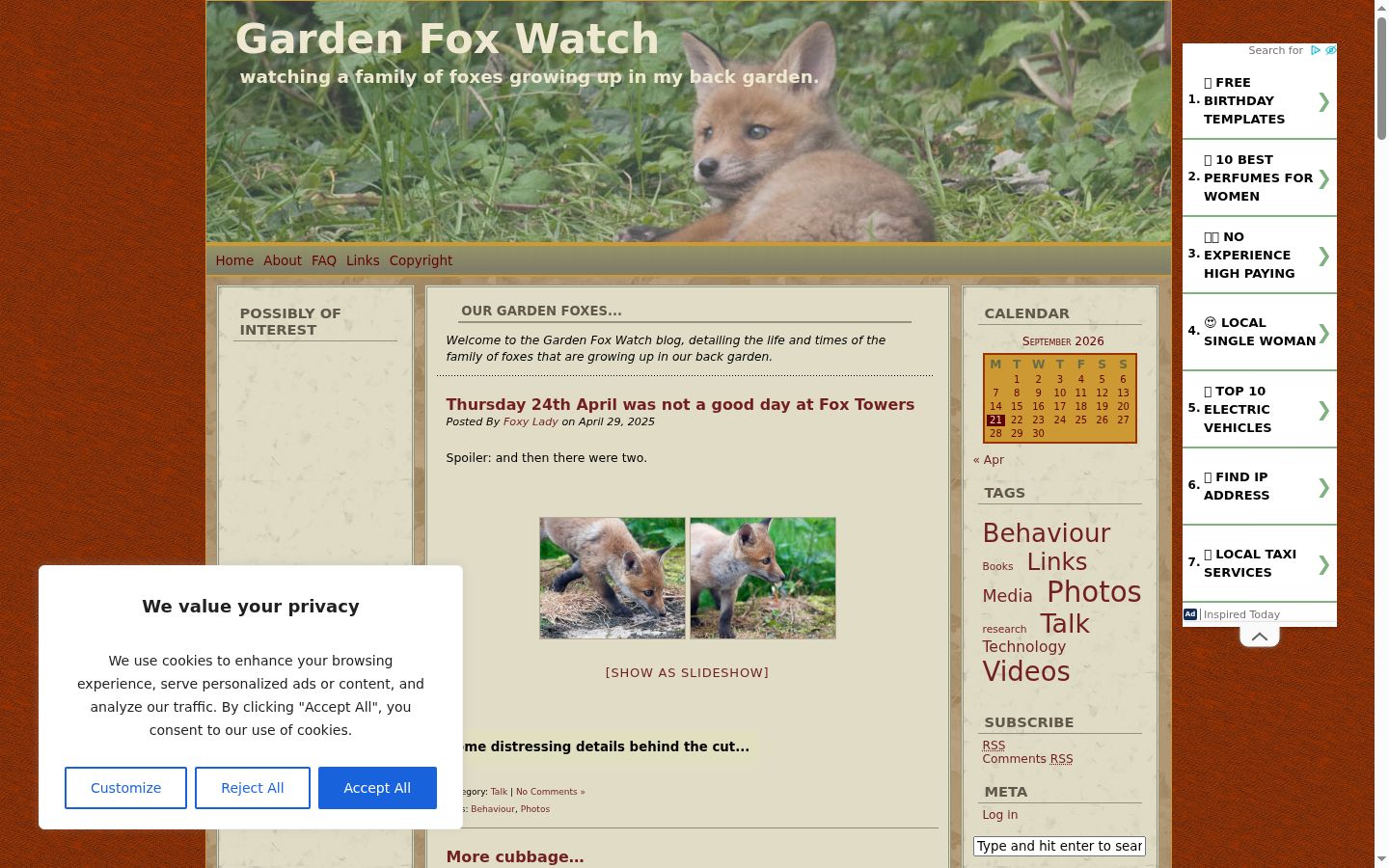 Screenshot tal-banner tal-kunsens muri qabel kwalunkwe interazzjoni