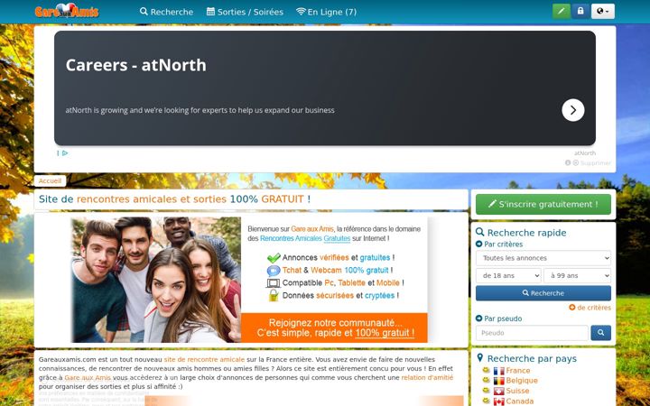 Screenshot of gareauxamis.com