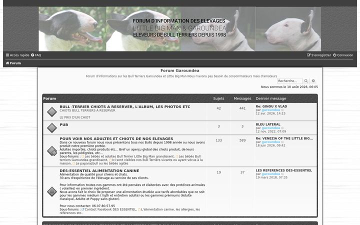 Screenshot of garoundea.fr