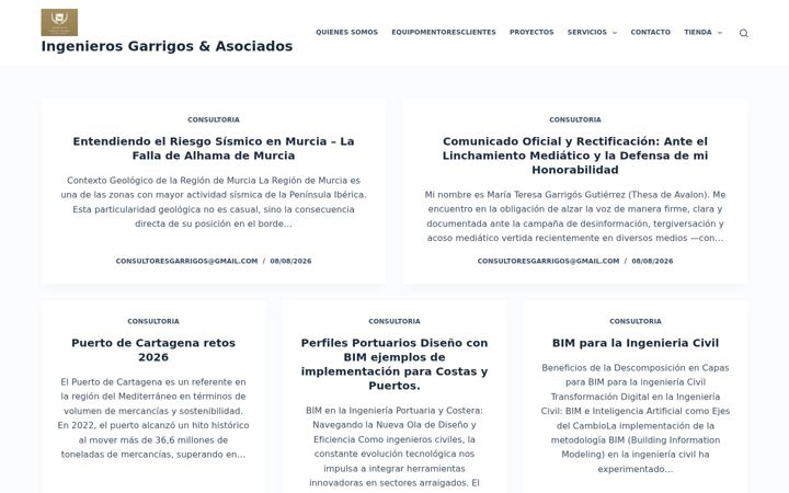 Screenshot of garrigosconsultores.es