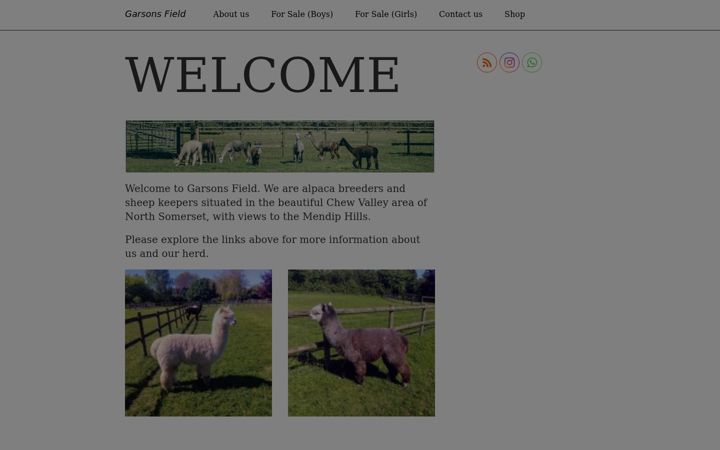 Screenshot of garsonsfield.com