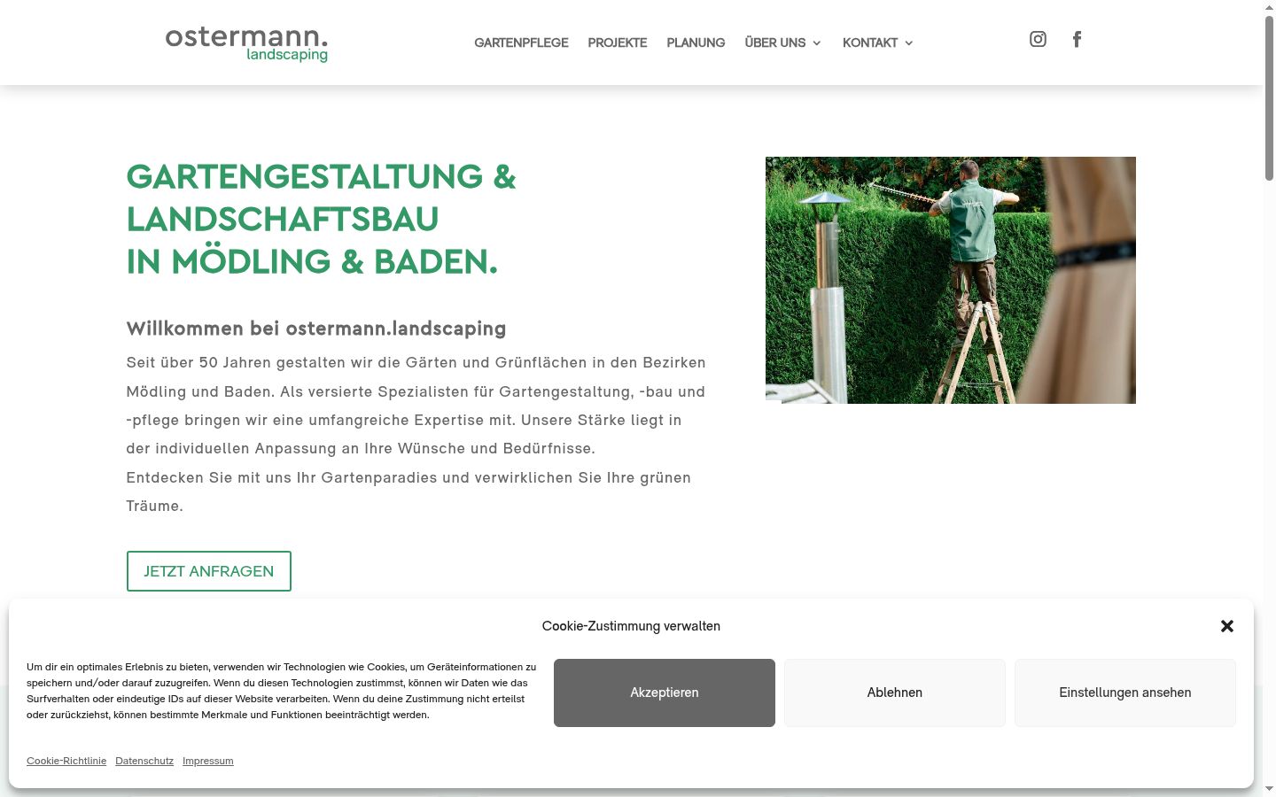 Screenshot van de toestemmingsbanner zoals getoond vóór enige interactie