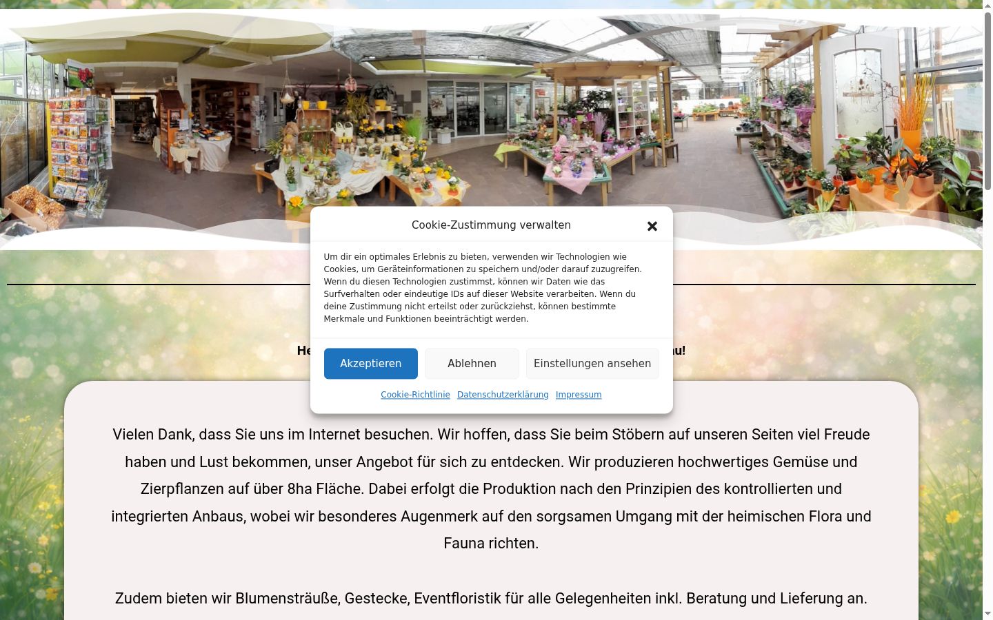 Screenshot of the consent banner shown before any interaction