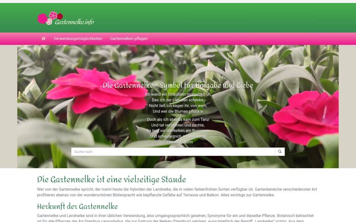 Screenshot of gartennelke.info
