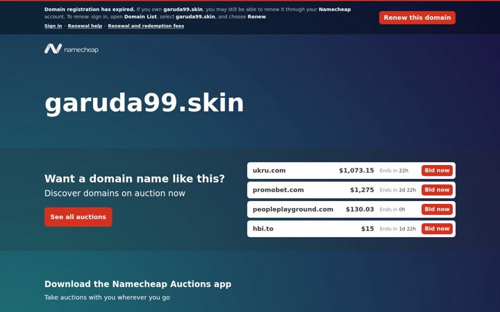 Screenshot of garuda99.skin