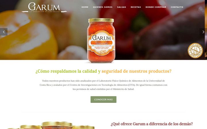 Screenshot of garumcr.com