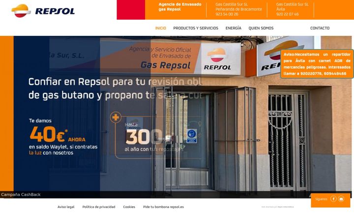 Screenshot of gascastillasur.com