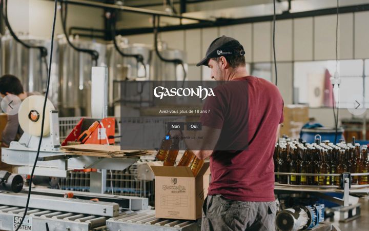 Screenshot of gasconha.fr