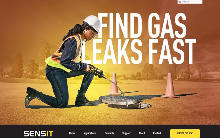 Screenshot of gasleaksensors.com
