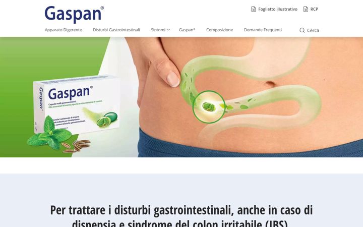 Screenshot of gaspan.it